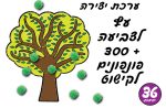 ⁦ערכת יצירה עץ לצביעה +300פונפונים⁩ – תמונה ⁦2⁩
